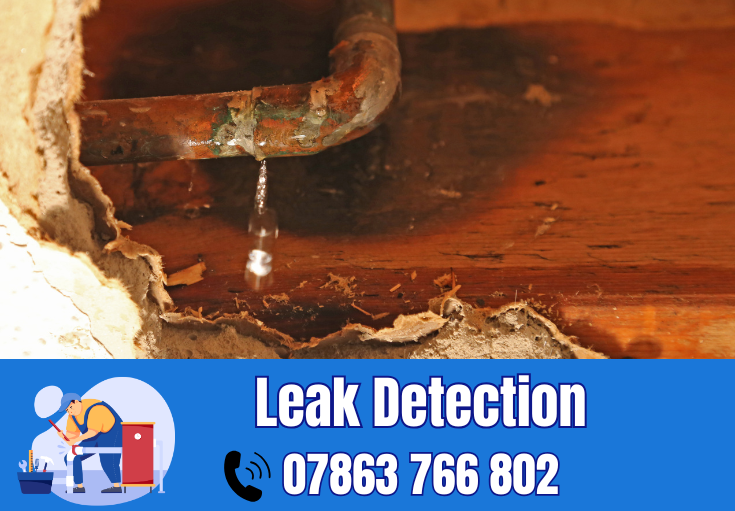 leak detection Helsby