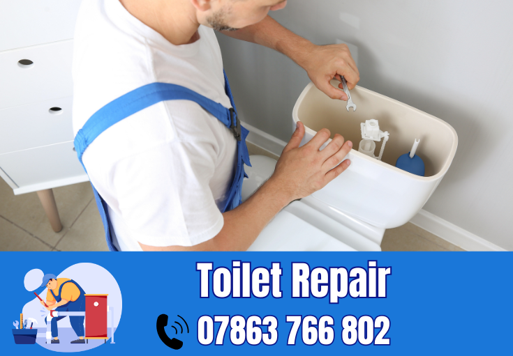 toilet repair Helsby